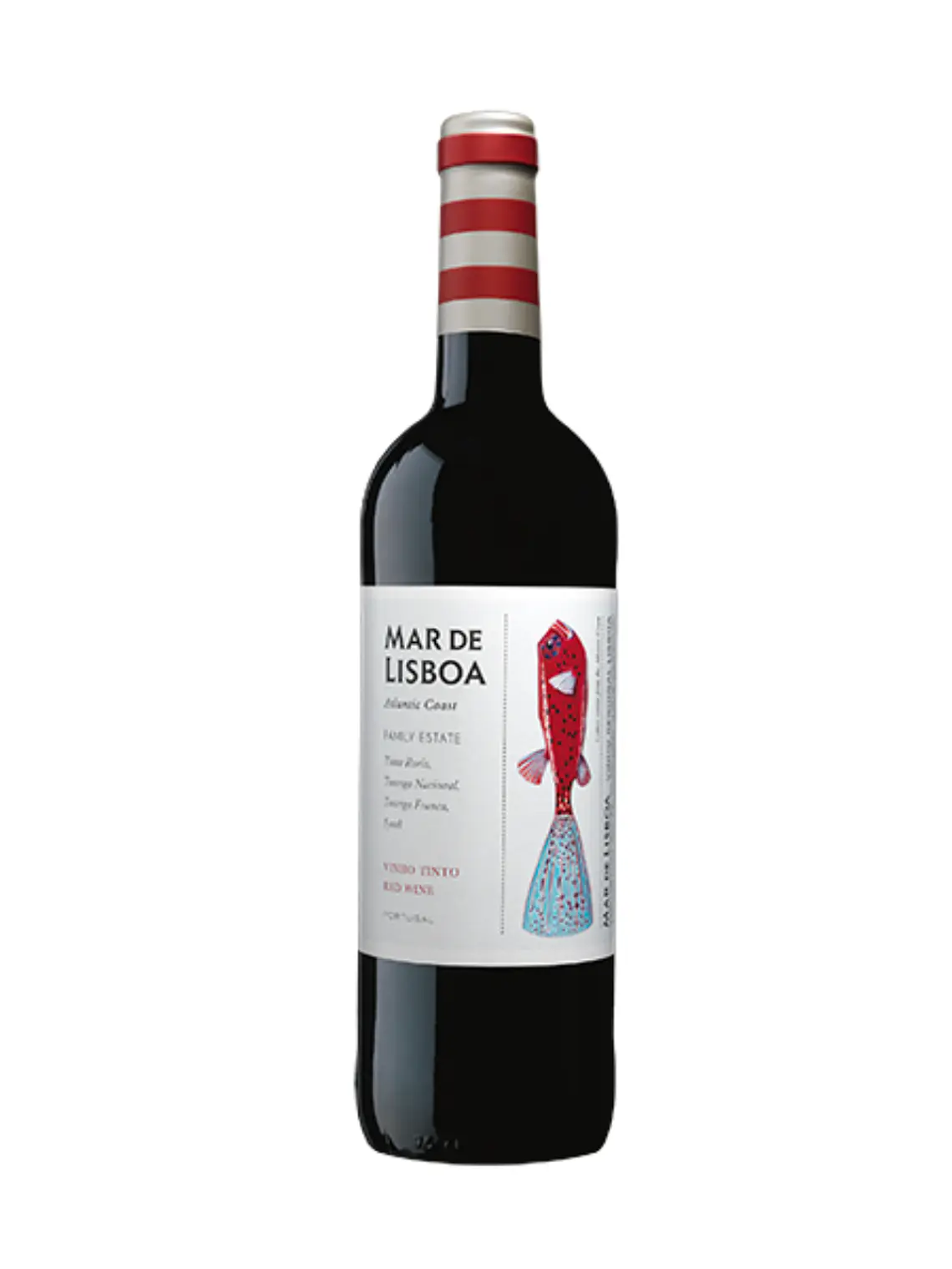 Lisboa Tinto Descomplicado